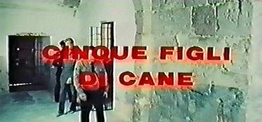 Cinque figli di cane