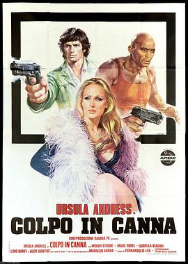 Colpo in canna