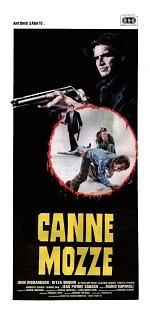 Canne mozze
