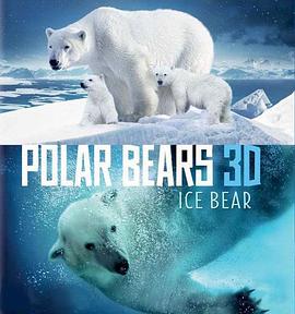 Ice Bear