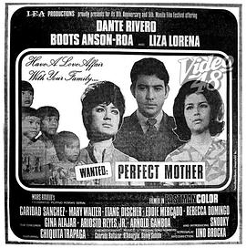 Wanted: Perfect Mother