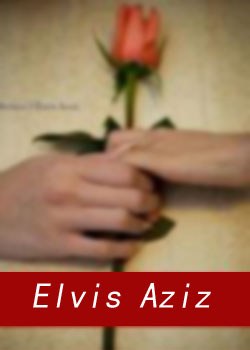 埃而维斯·阿济兹