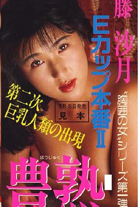 Ｅカップ本番 ＩＩ 豊熱