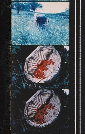 他站在荒漠中数着生命中的时刻