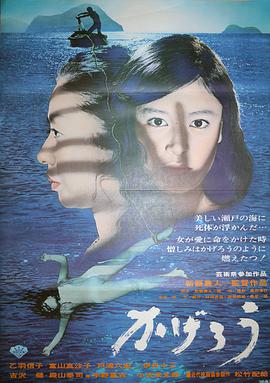 蜉蝣