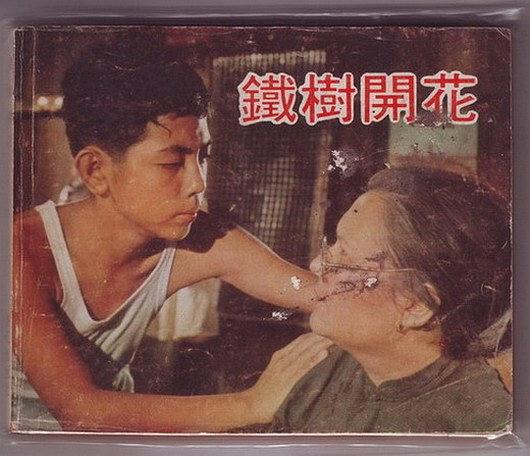 铁树开花