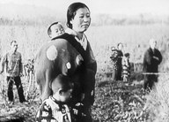 信濃風土記より 小林一茶