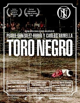 Toro negro