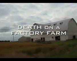 Death on a Factory Farm