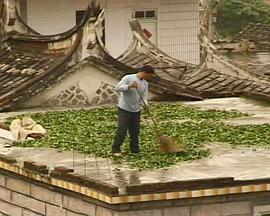 尽在此茶中