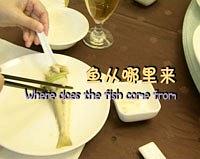 鱼从哪里来