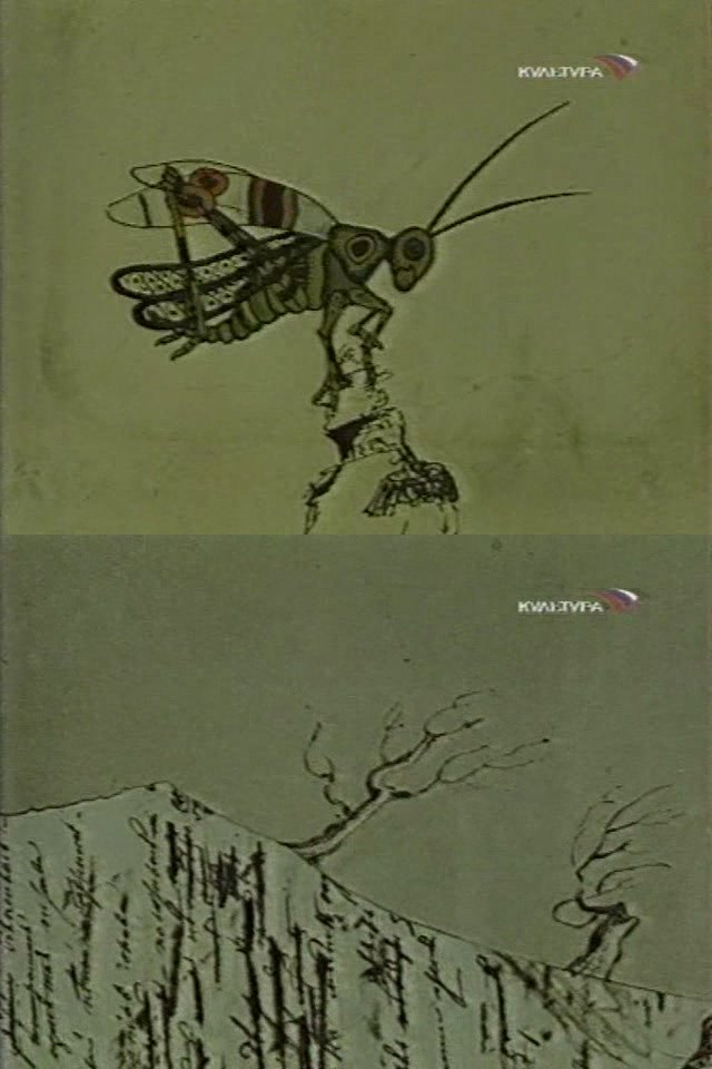 像回忆般飞向你