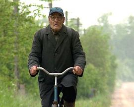 西奥多先生