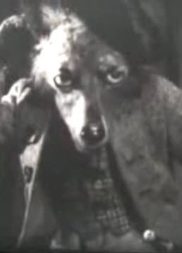 Der Wolf und die sieben Geisslein