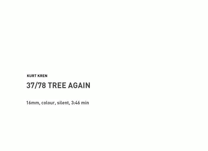 37/78: Tree Again