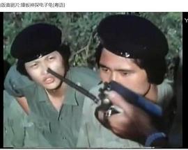 撞板神探电子龟