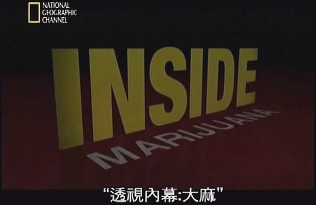 透视内幕：大麻