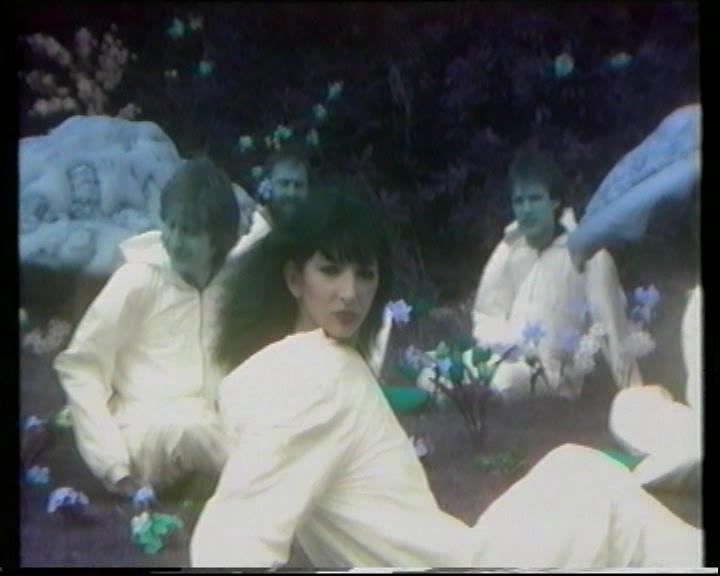 Kate Bush: The Singles File