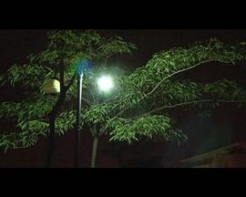 夜-时间-TIKI