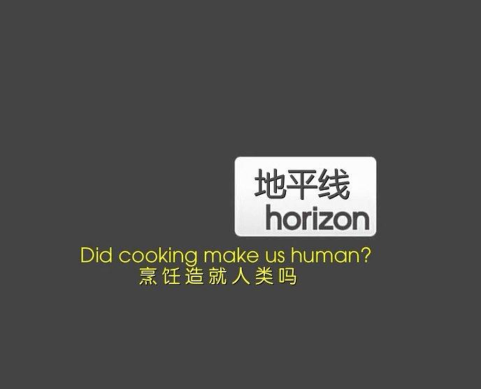 地平线系列：烹饪造就人类吗
