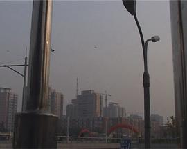 今天