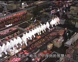 人类以何为食：食物和文明的世界群像