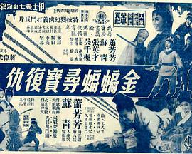 金蝙蝠寻宝复仇