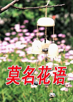 莫名花语