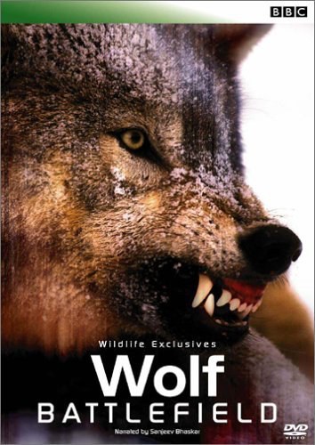 Wolf Battlefield