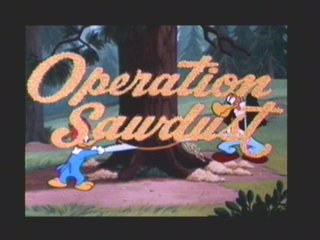 Operation Sawdust