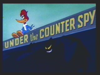 Under the Counter Spy