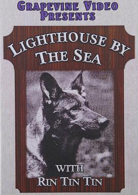 The Lighthouse by the Sea