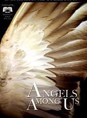 Wings of Desire: The Angels Among Us