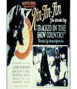 Tracked in the Snow Country