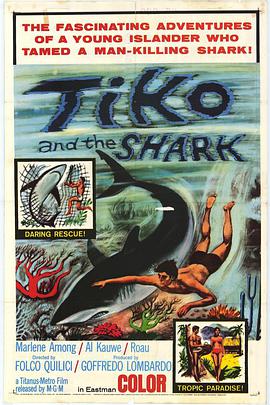 Ti-Koyo e il suo pescecane