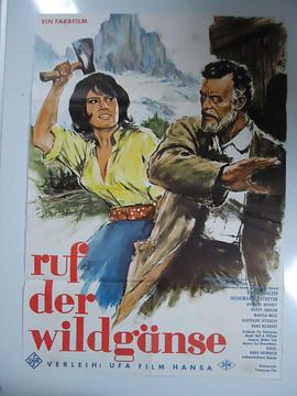 Ruf der Wildgänse