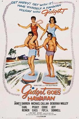 Gidget Goes Hawaiian