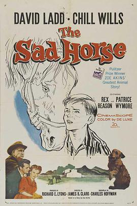 The Sad Horse