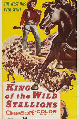 King of the Wild Stallions