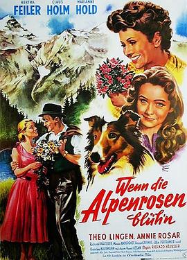 Wenn die Alpenrosen blüh'n