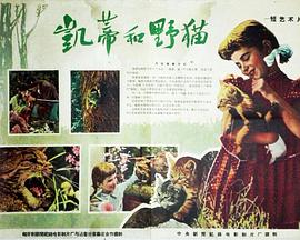 凯蒂和野猫