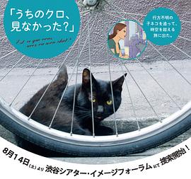 猫的方式