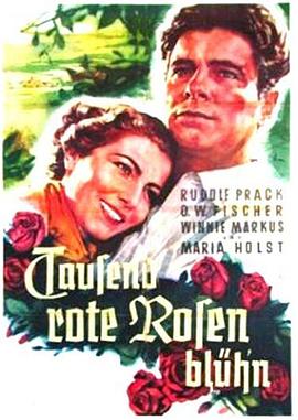 Tausend rote Rosen blüh'n