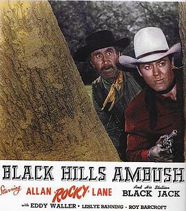 Black Hills Ambush