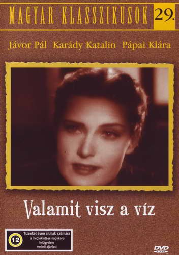 Valamit visz a víz