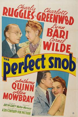 The Perfect Snob