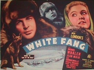 White Fang