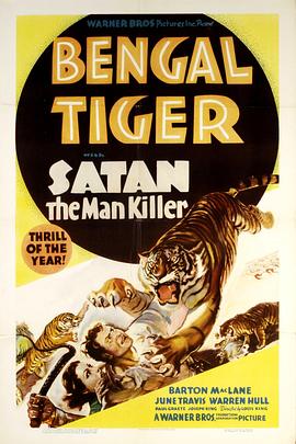 Bengal Tiger