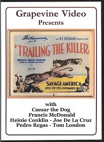 Trailing the Killer