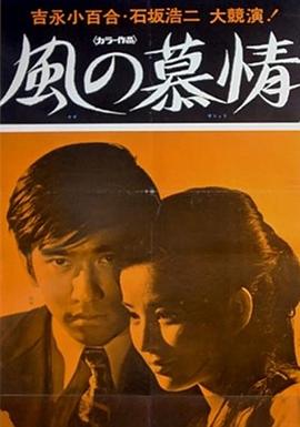 风之恋情